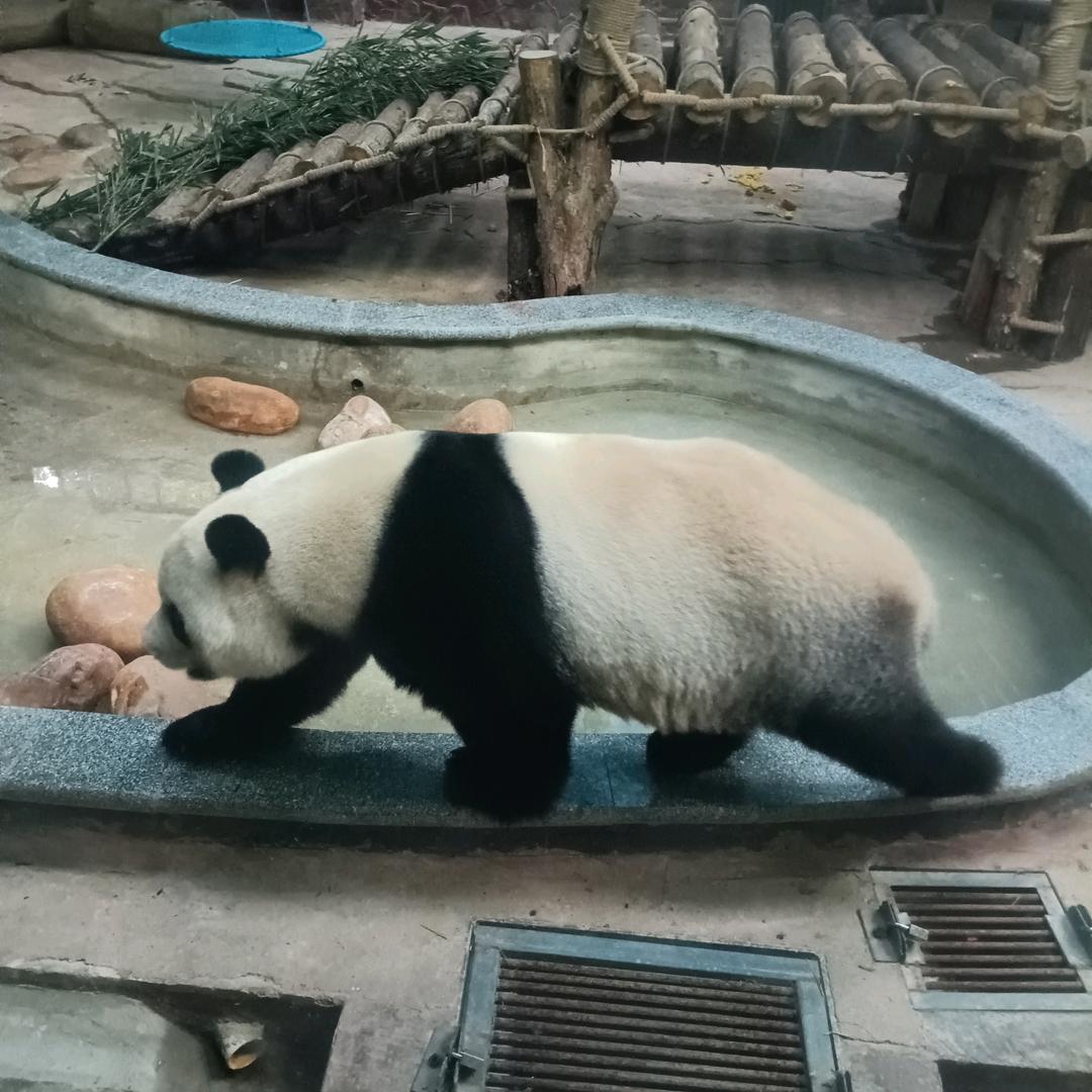 人生没有对错