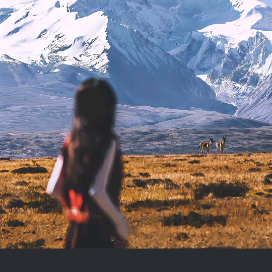 小乔的贵州酱酒