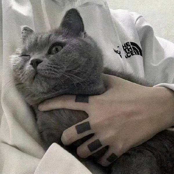 胜羽 羽毛球社团