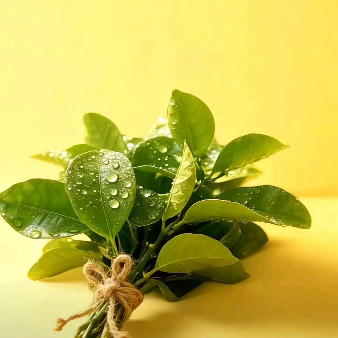 赖斯米兔🐰🐰