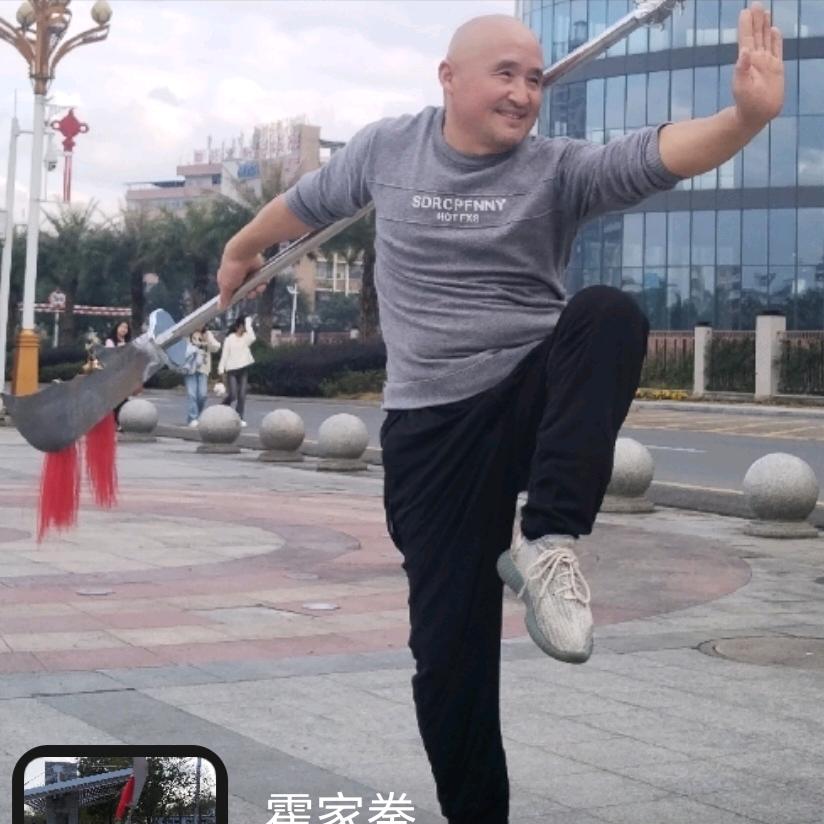 霍家拳