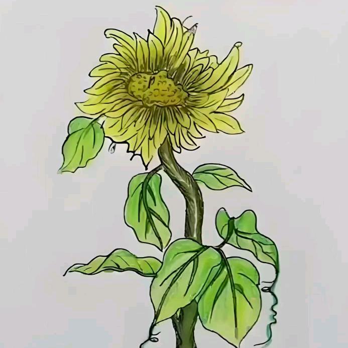 爱吃鱼🐟的猫🐱