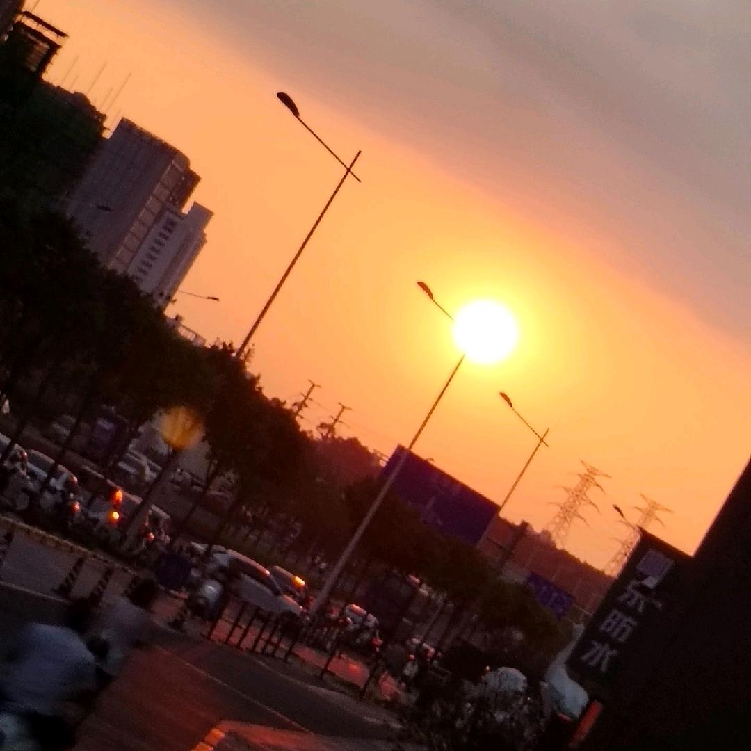落辰情