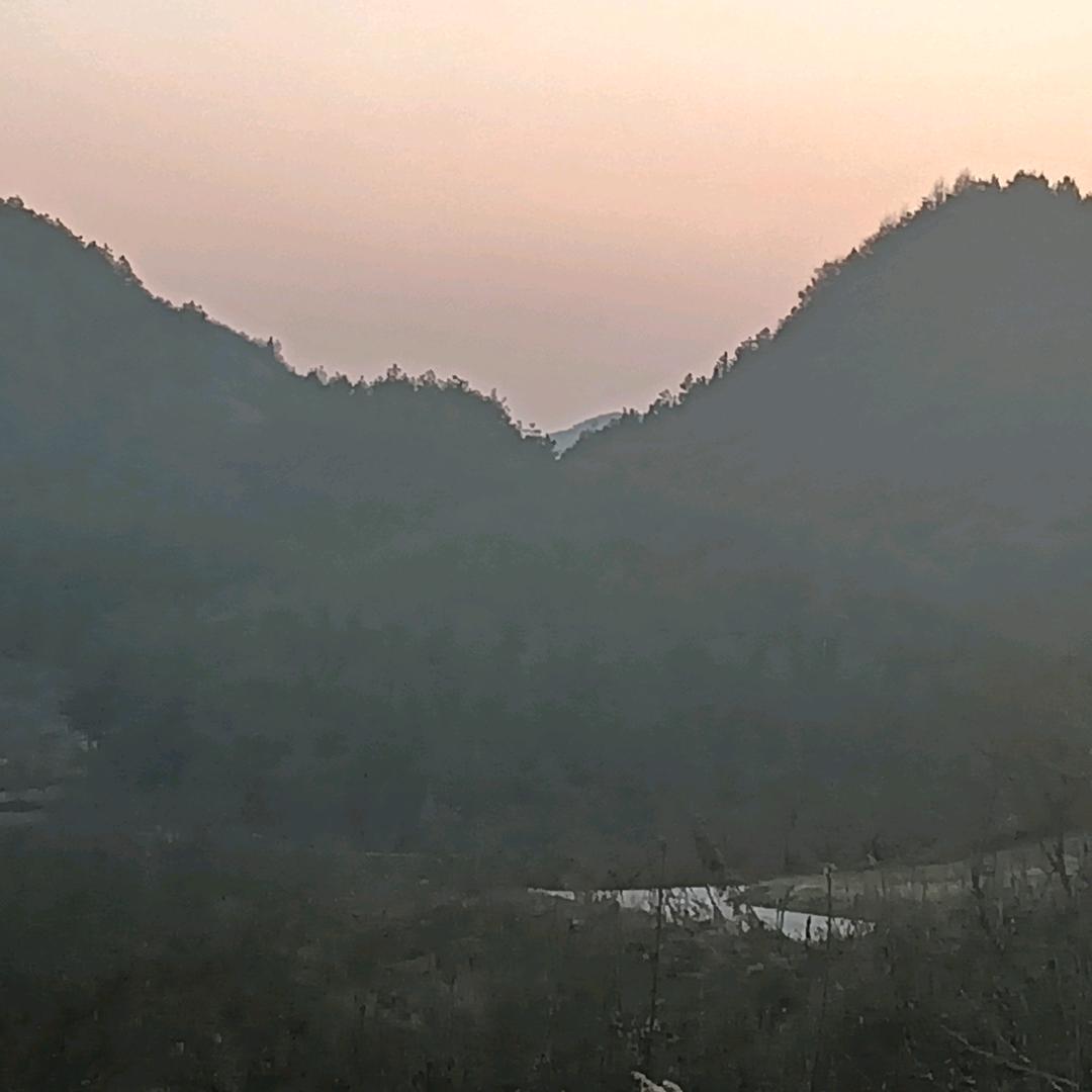盐水鱼