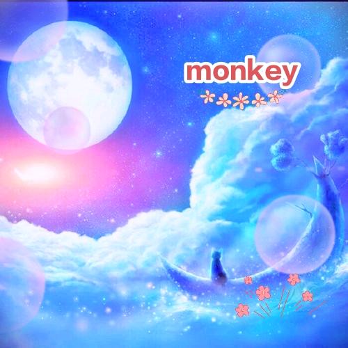 monkey
