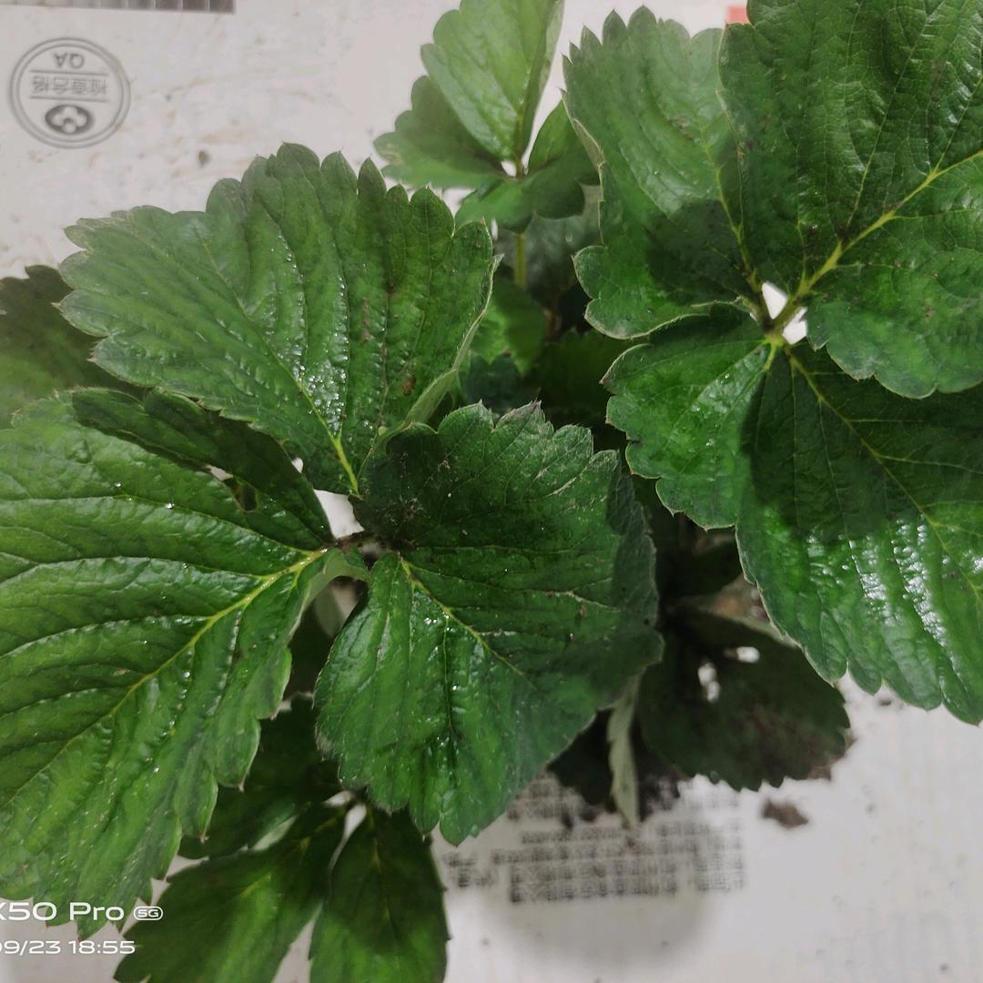 天天有个好心情