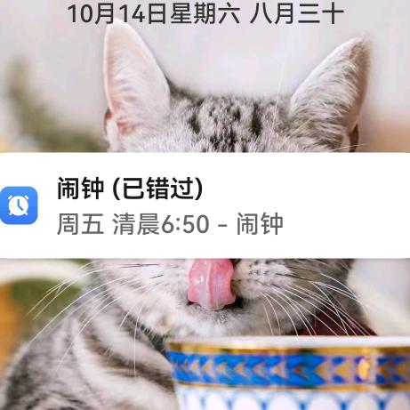 还不是很好起头像