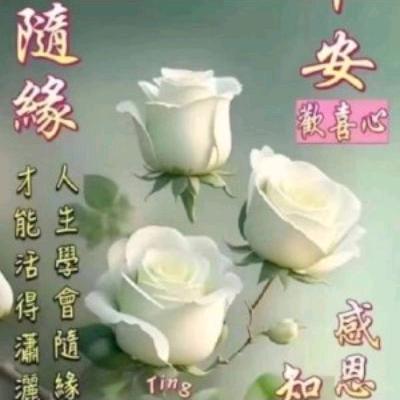 华英杰