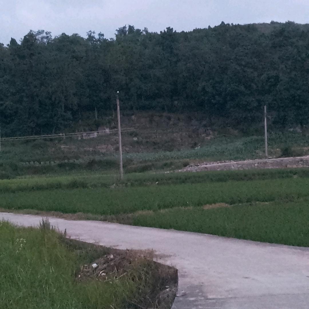 辉煌。