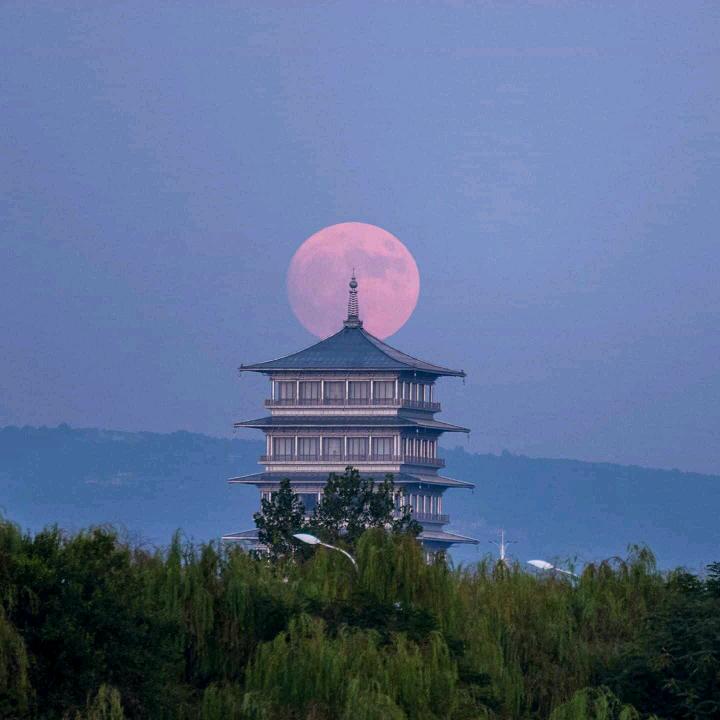 吴优优