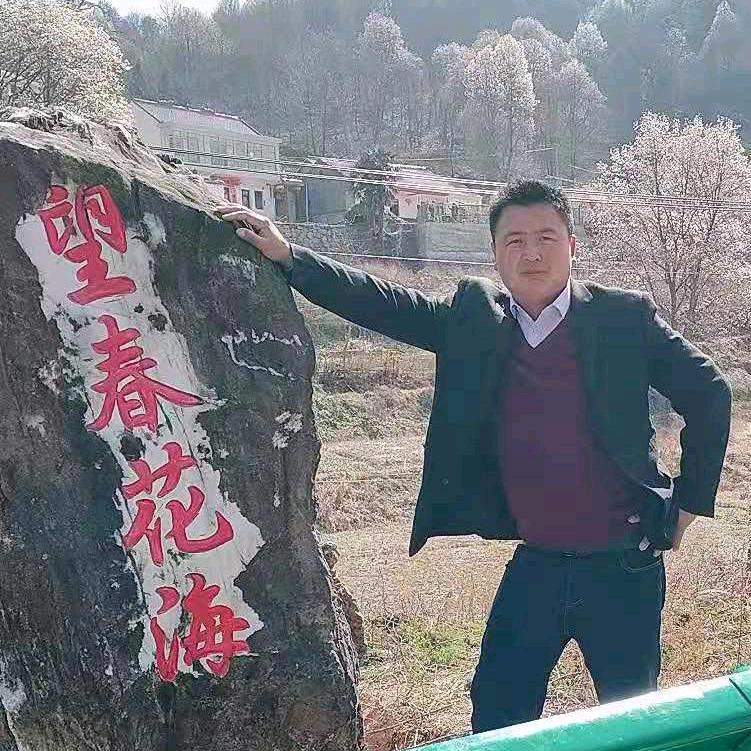 ᭄ꫛ楠烨꧔ꦿ᭄