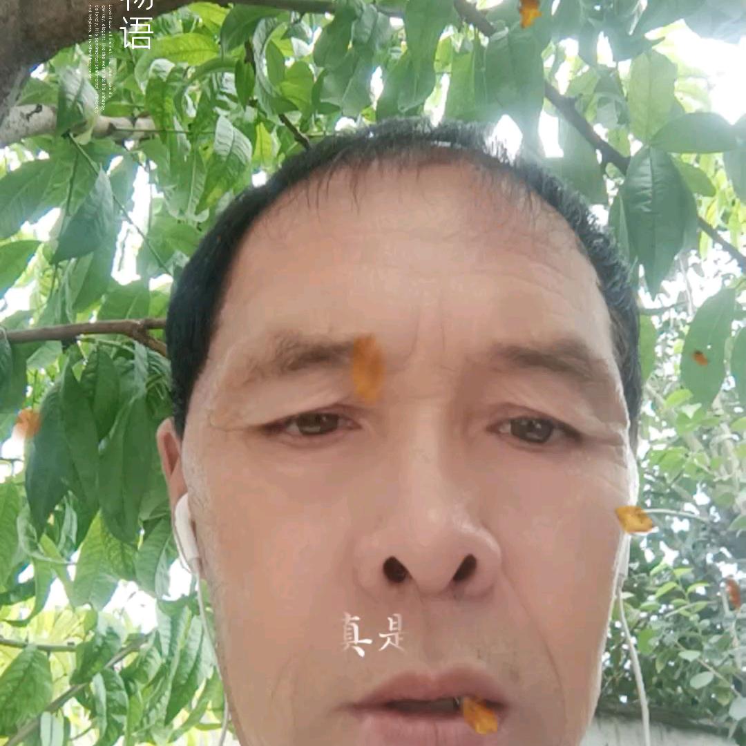 金玉