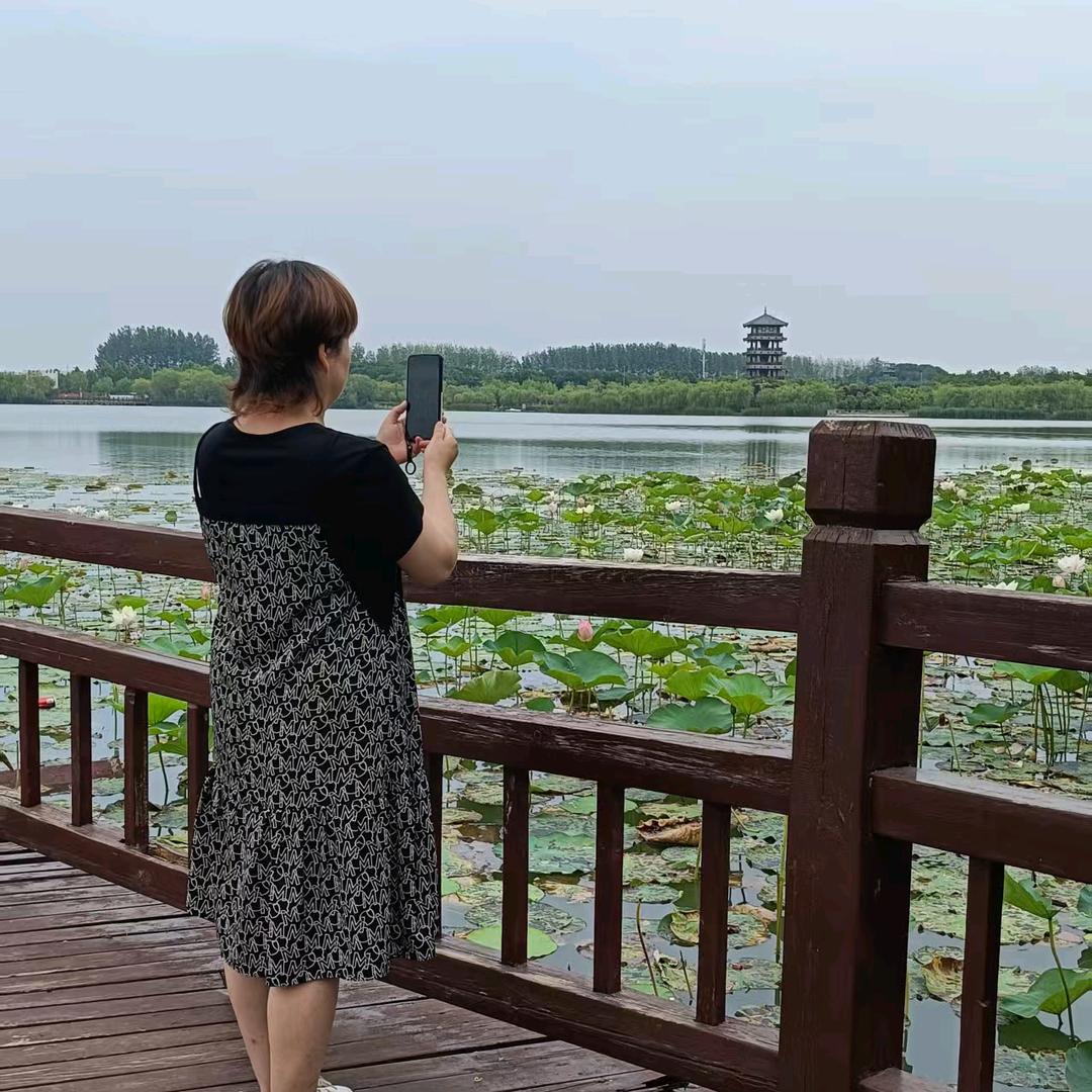 北燕南归