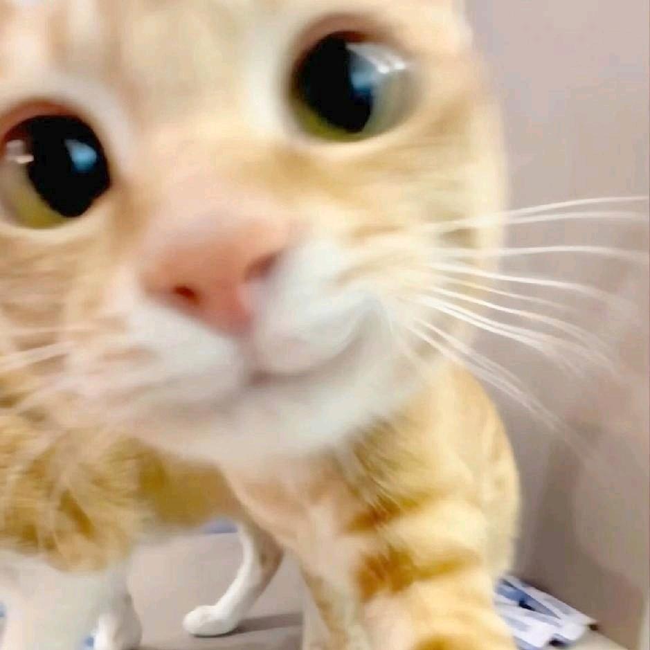 波力海苔夹心脆