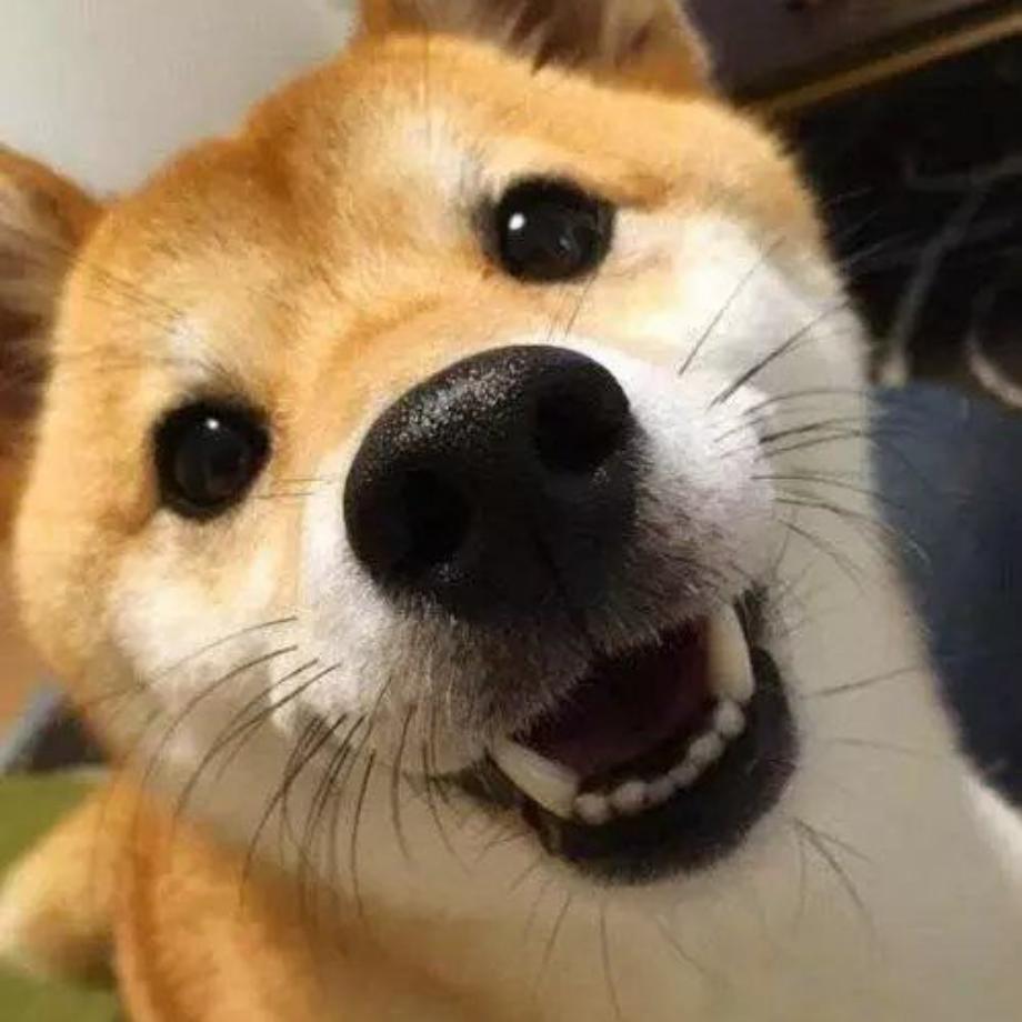 最初的信仰✨