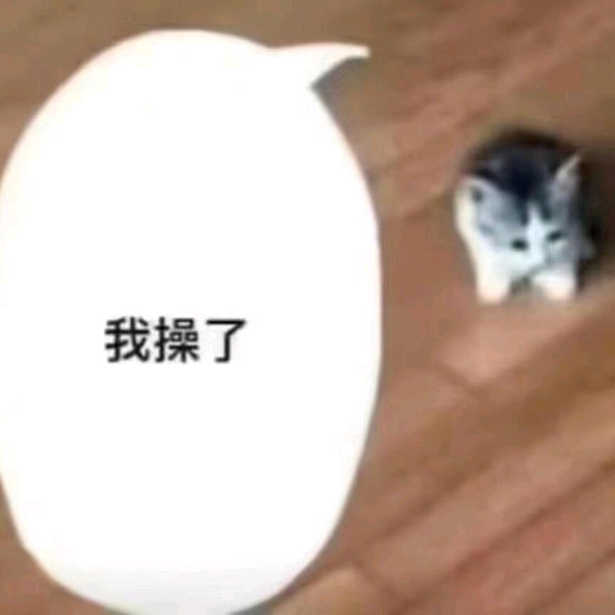 摩卡莫阿
