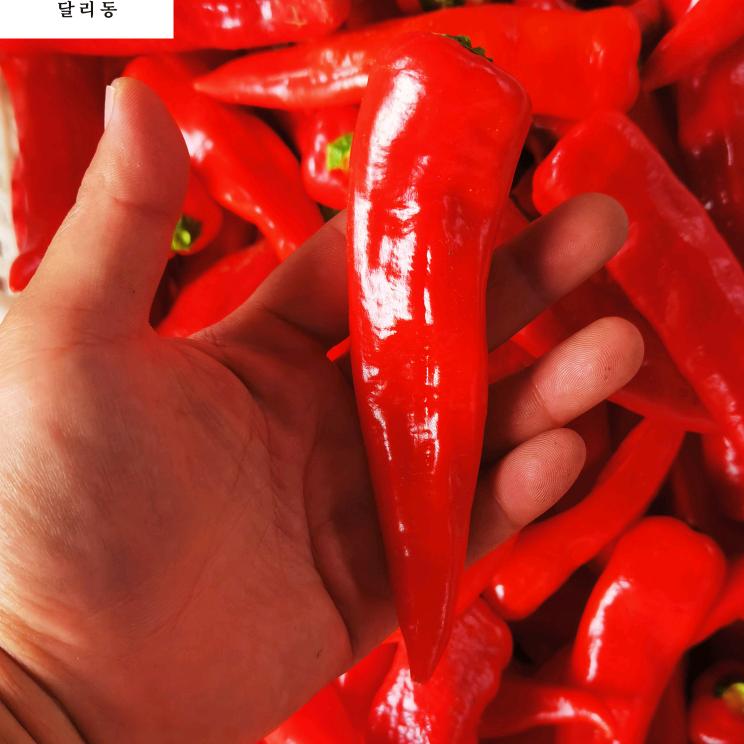 延边辣椒哥朝鲜族土特产食品店