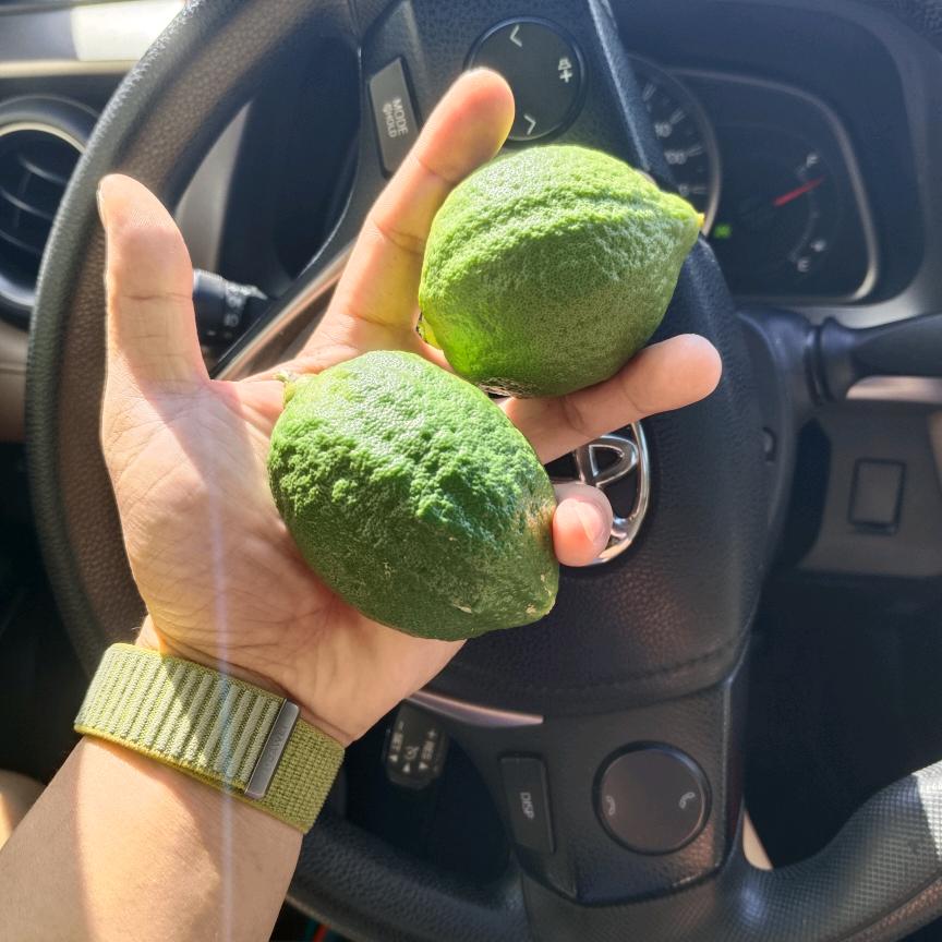 只为寻“柠”，香水柠檬