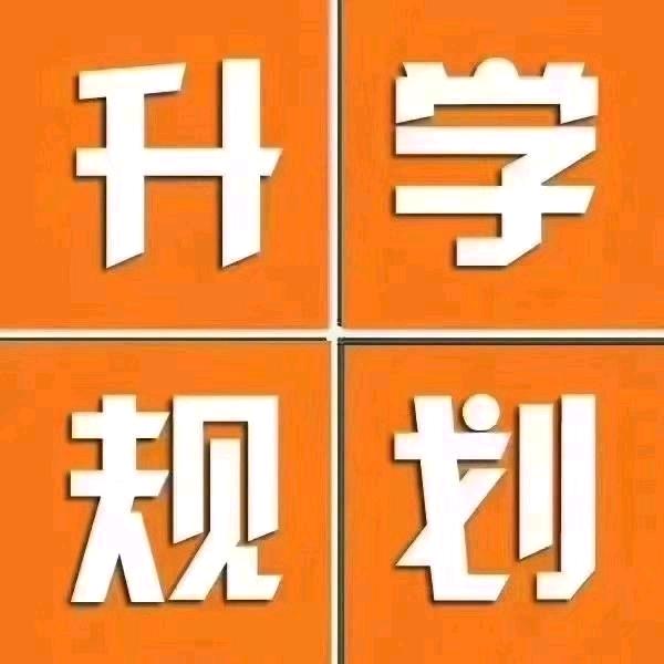 山东升学咨询