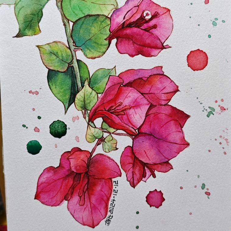 女兆女兆画水彩