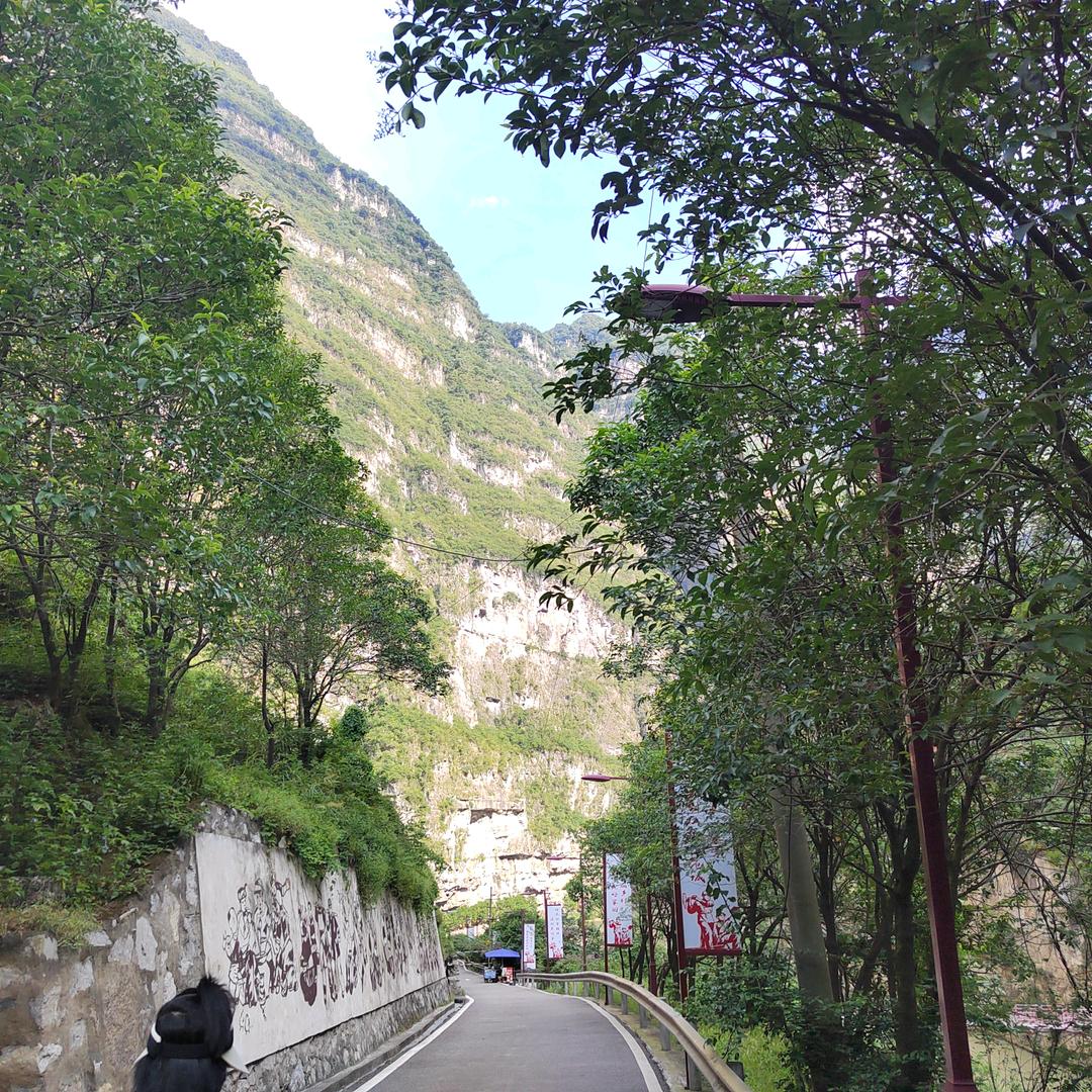 鸿运当头，