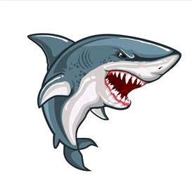 Me_大白鲨🦈