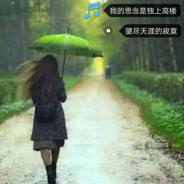 🌾遇见🌾《拒绝私聊》