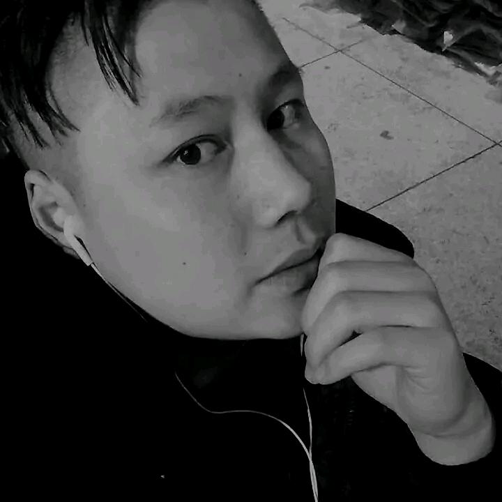 巴日怒德 那木仁宝力高