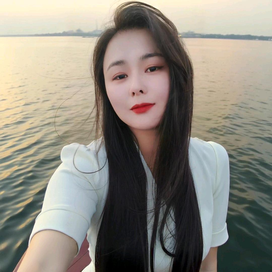 流浪的枫叶
