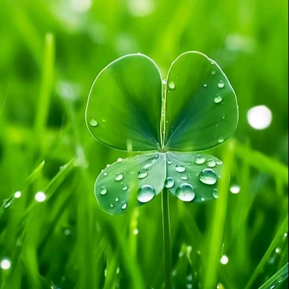 职呱呱招工-王姐