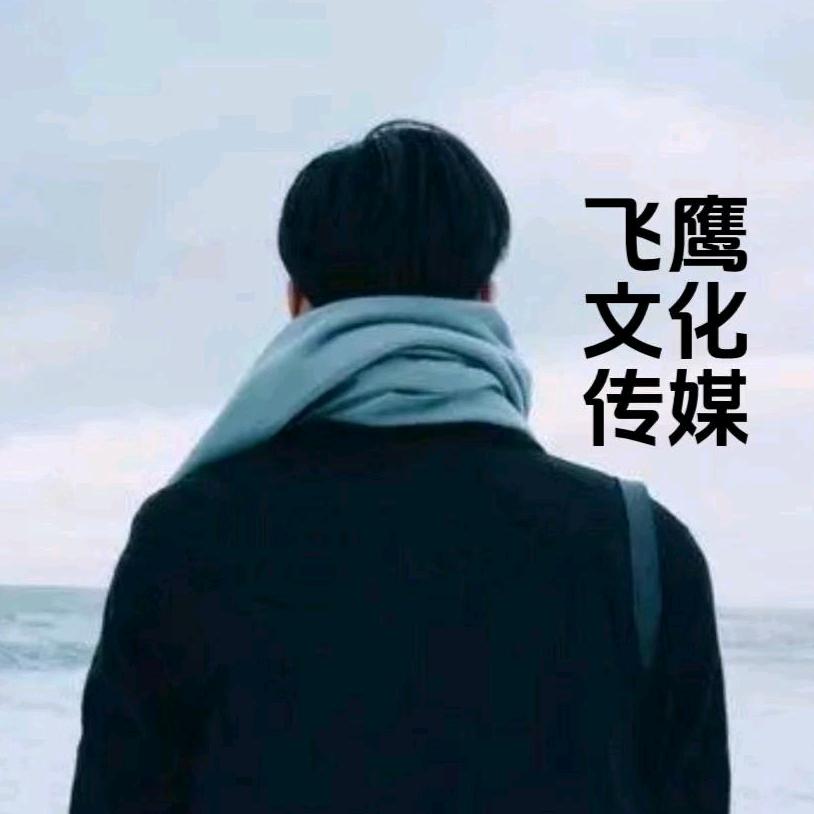飞鹰文化传媒