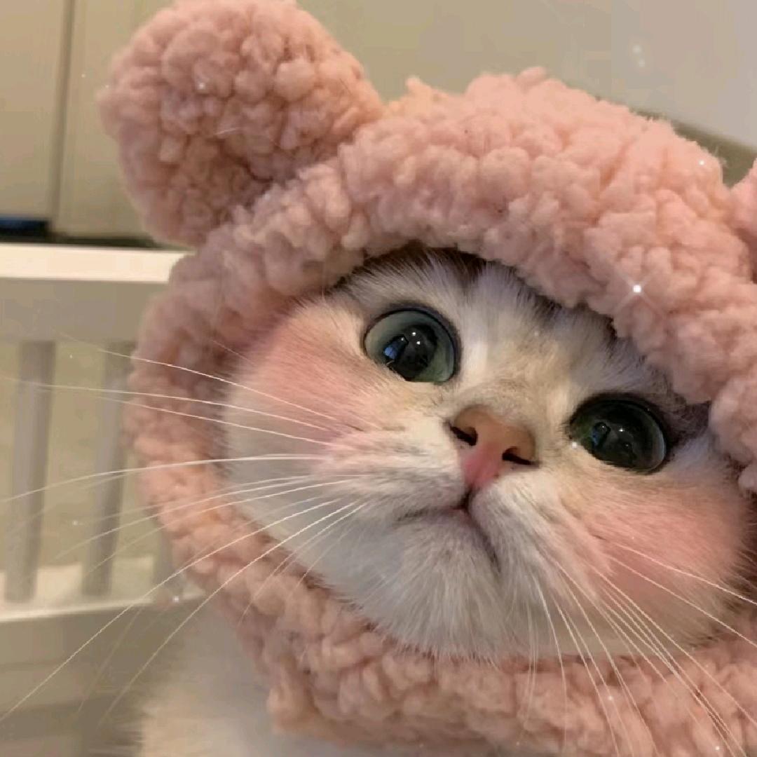 小羊可好