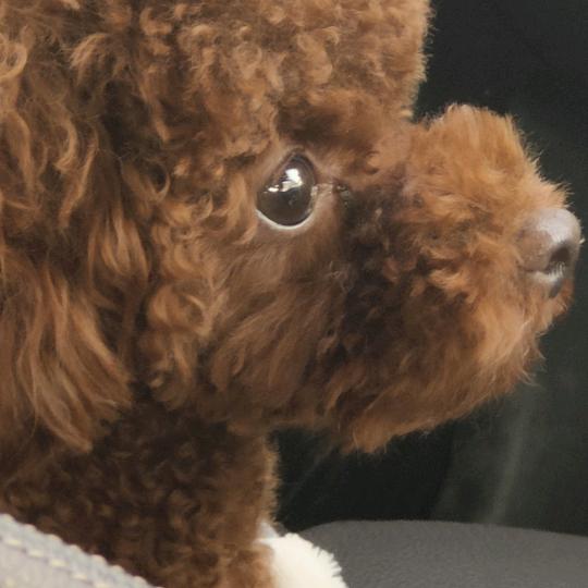 真好，又活了一天