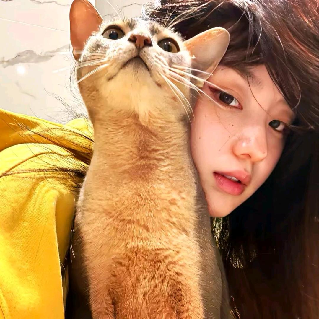 MSI