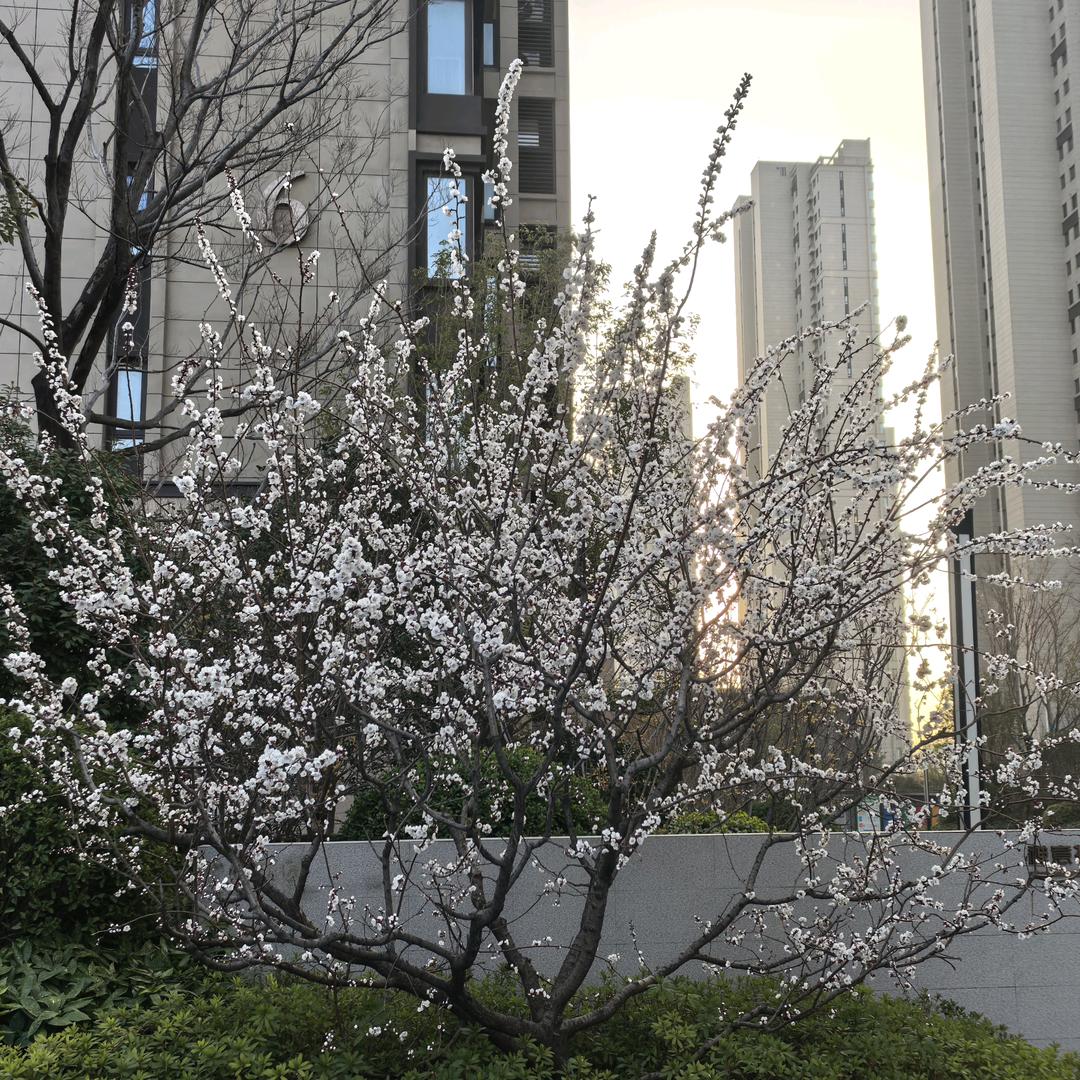 开开心心小宝贝