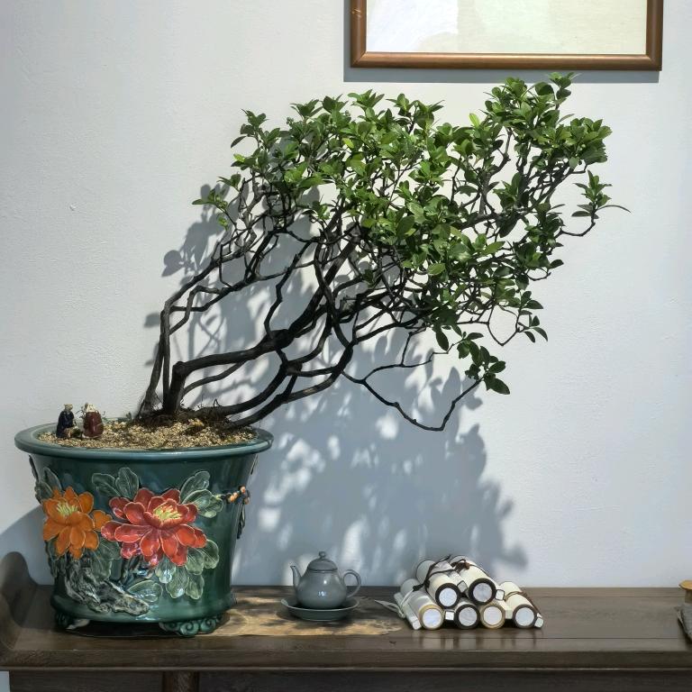 小兰海岛春花栀子花
