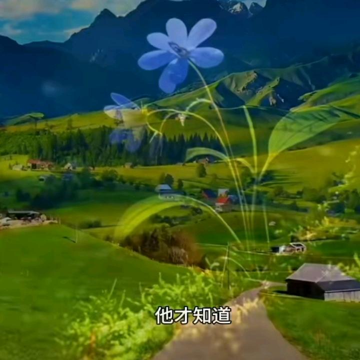 星光大道77