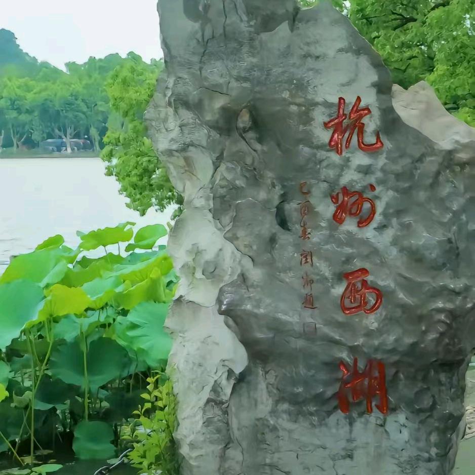 泪为你流尽