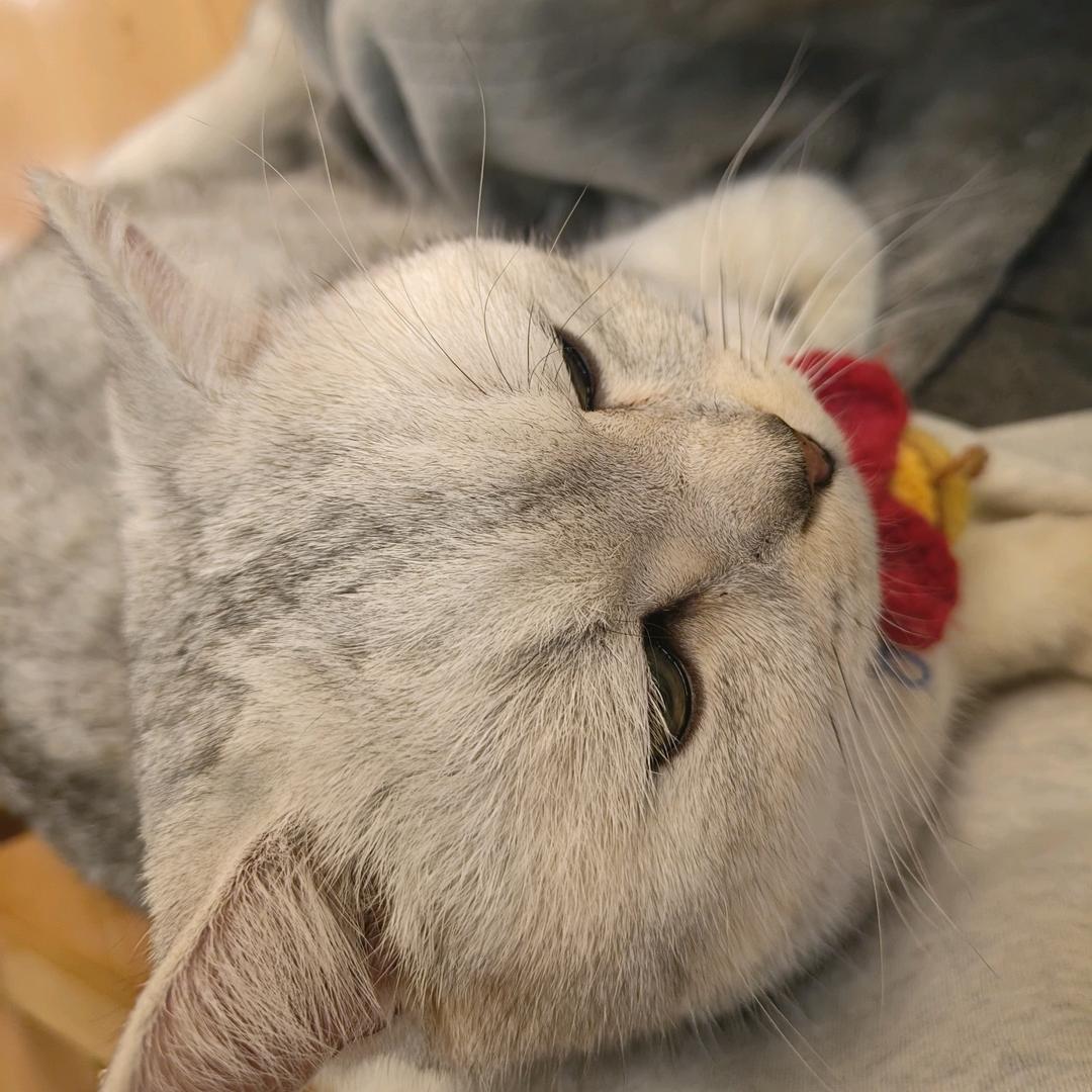 哦哦哦
