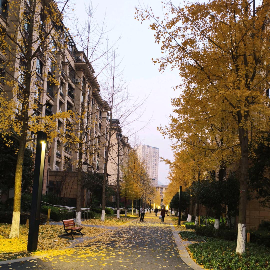 《兰梅》遇见你真好