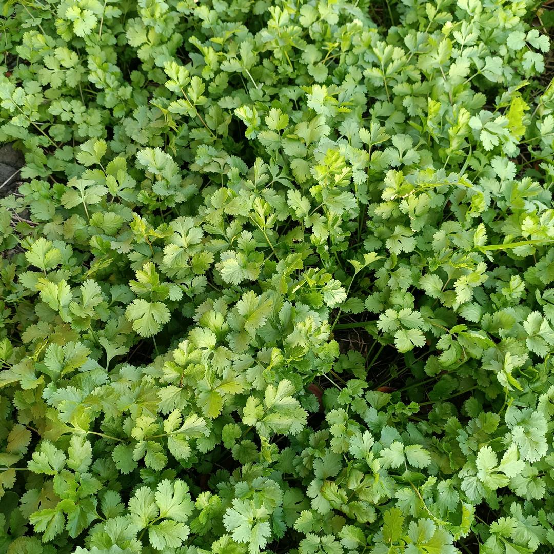 怎么打不开直播呢？有空我来开直播我反正是