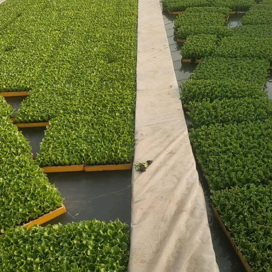 ৡꦿ谋᭄财࿐渡এོ凡ꦿ尘℘এ