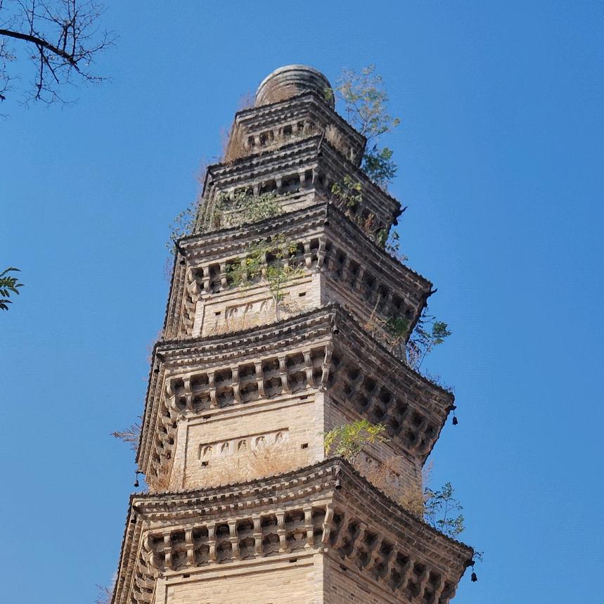 知足常乐