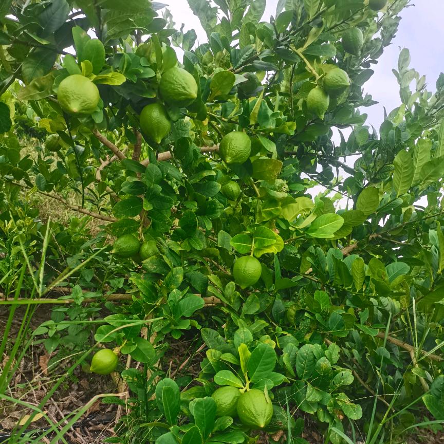 并非🚬良人🍋