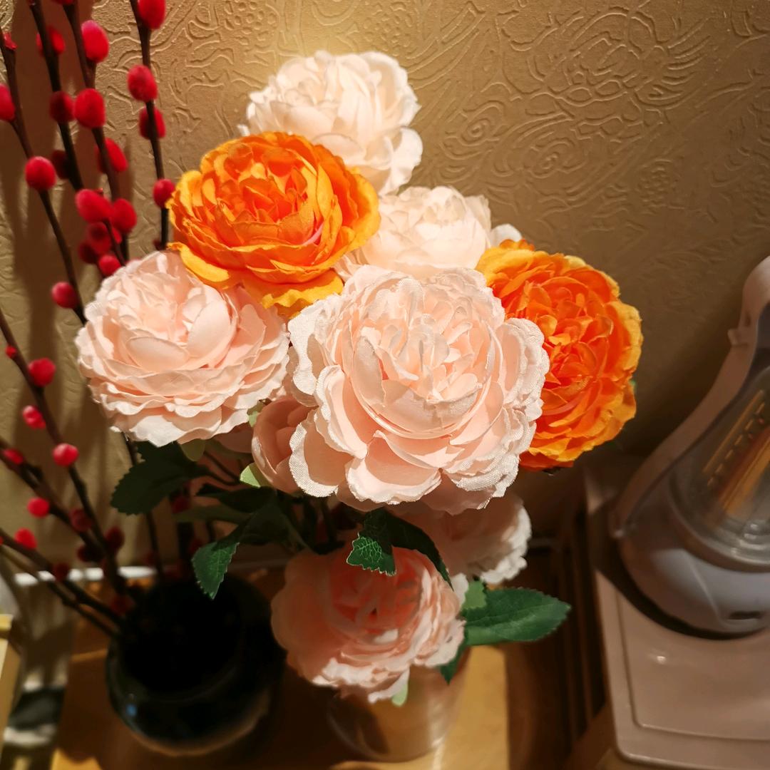 晴姐