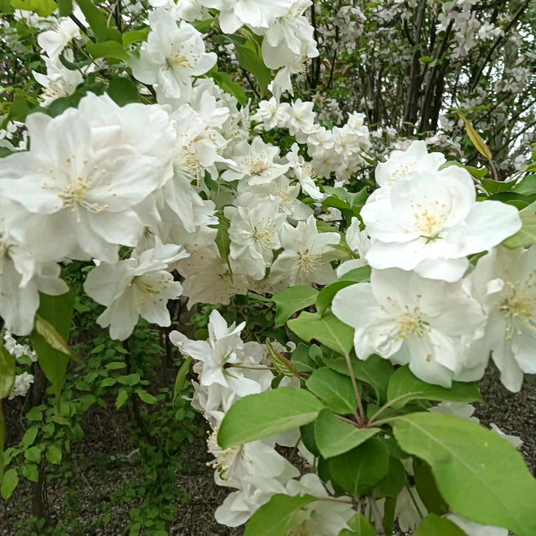 ღ᭄💞别碰꧔ꦿ᭄ 我ღ᭄ 心?