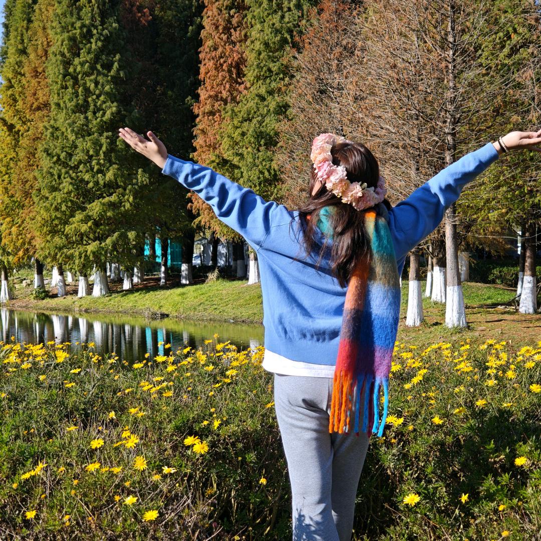 飞舞战场の美少女