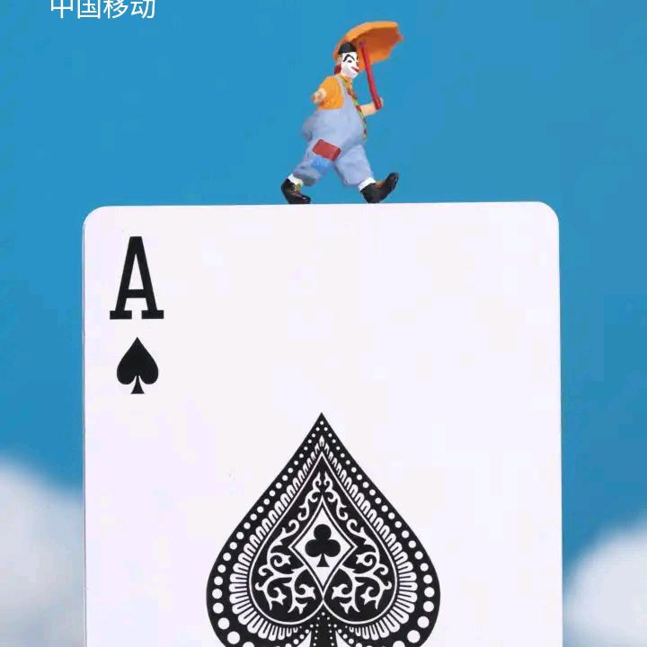 小猪佩奇🦴追踪器