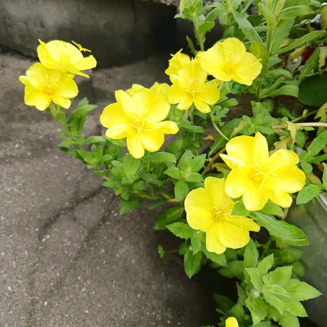 潇潇洒洒
