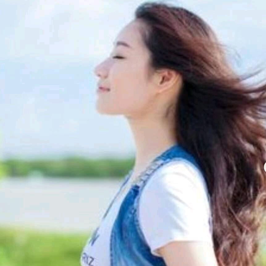 内蒙古晨林有限公司